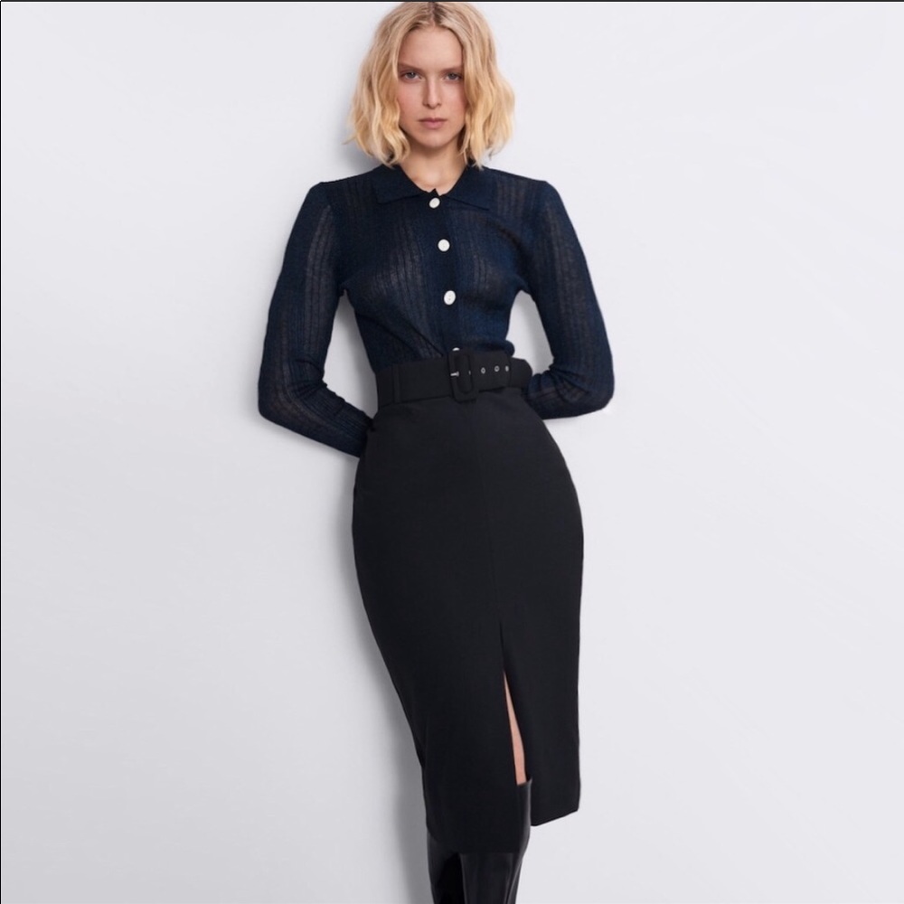 Zara Pencil Skirl